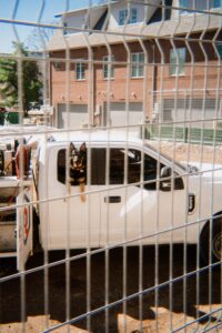 A dog is looking out of a white truck.